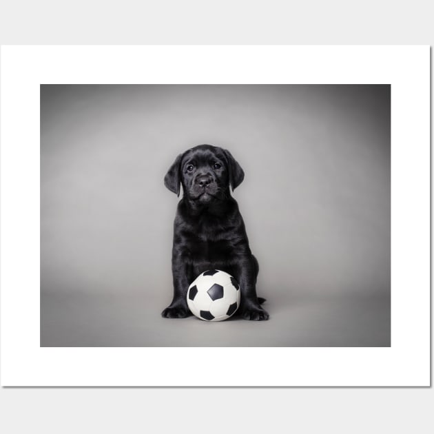 Labrador retriever puppy with ball Wall Art by PetsArt